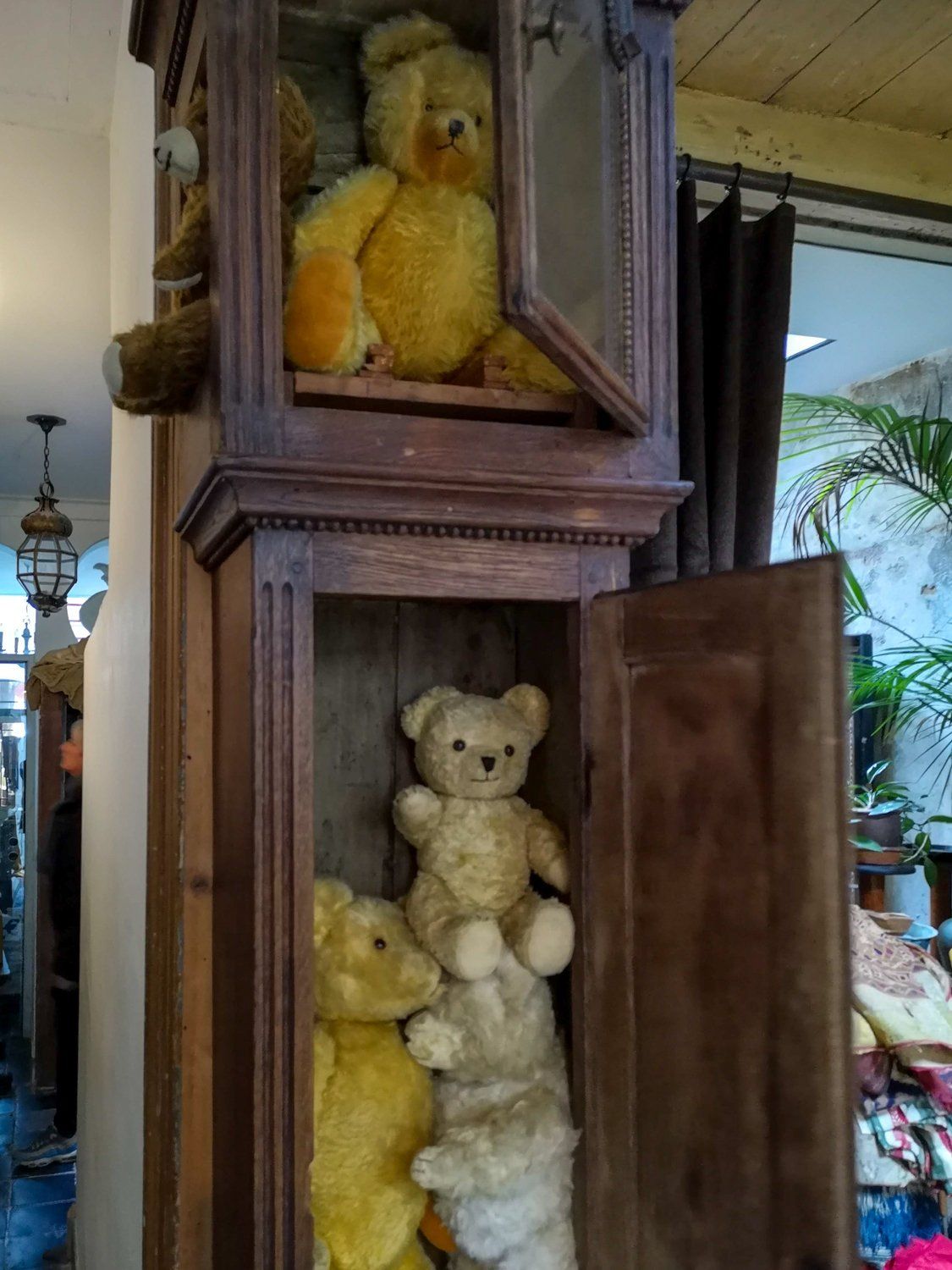 vintage teddy bears at Anterieur Leiden