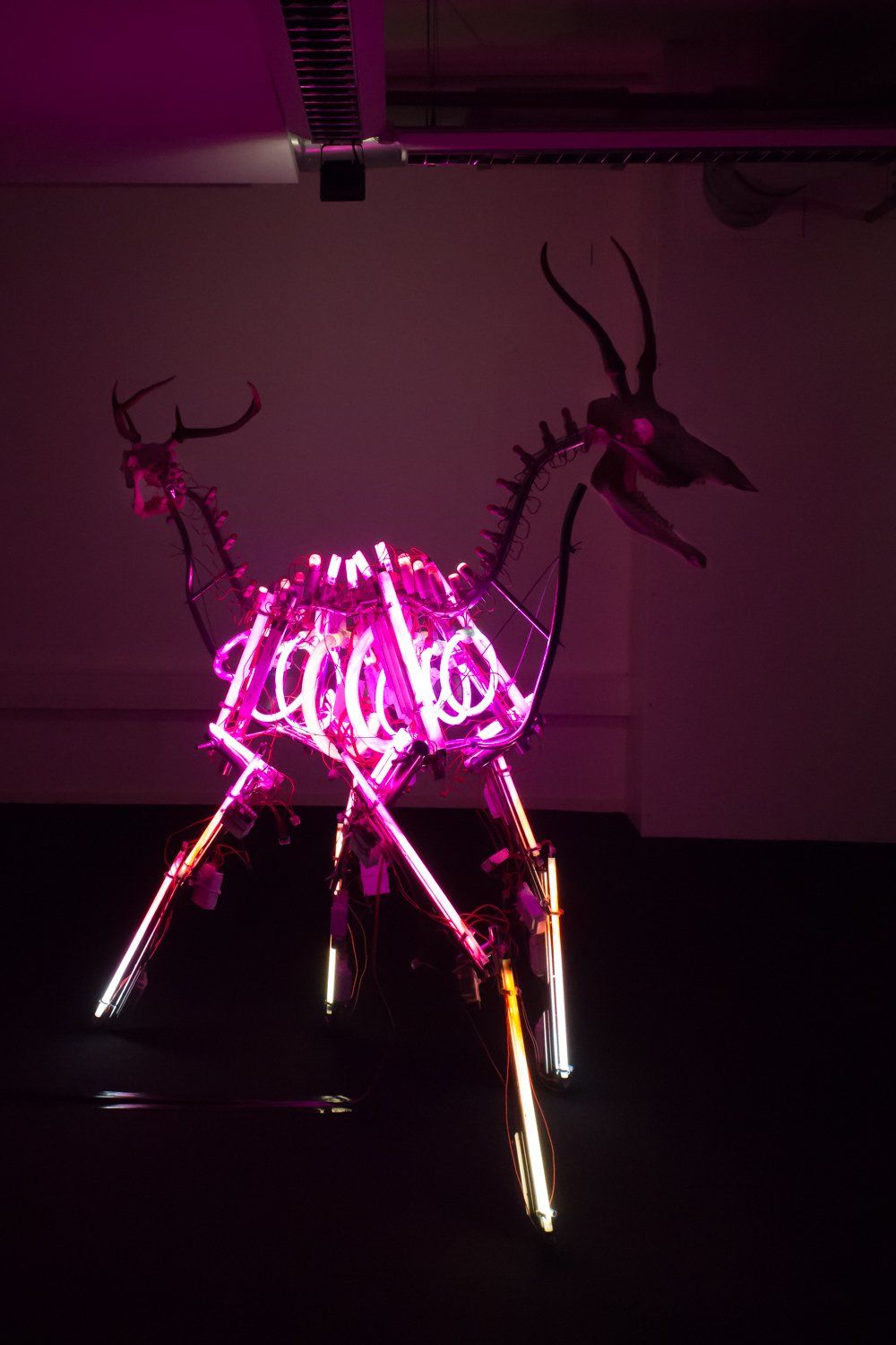 Stefan Yordanov neon deer