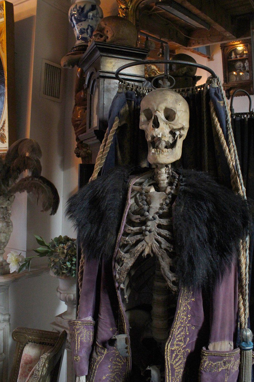 skeleton dressed up
